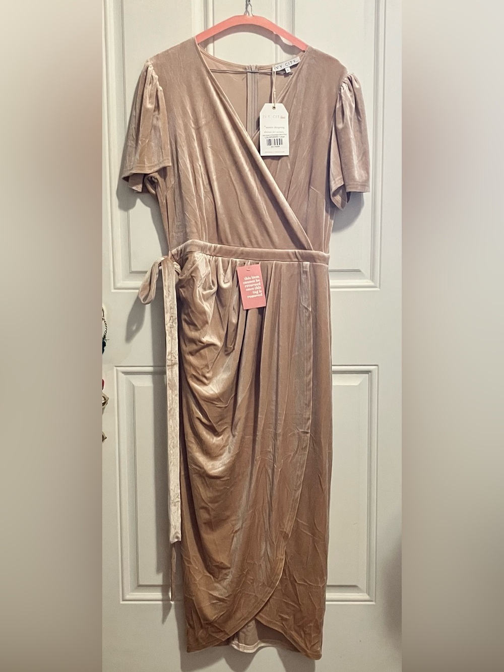 Ivy City Co. Lillie Dress Champagne Velvet_-Large NWT - Picture 2 of 6